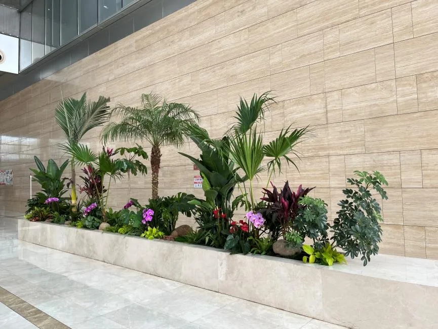 江北植物租赁哪家好